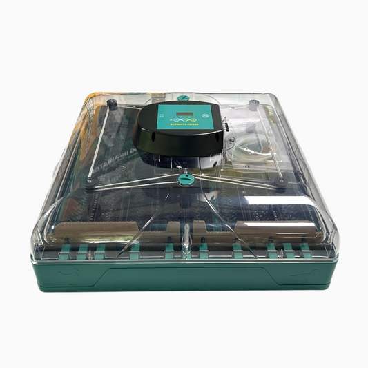 Nesty 72 Egg Incubator